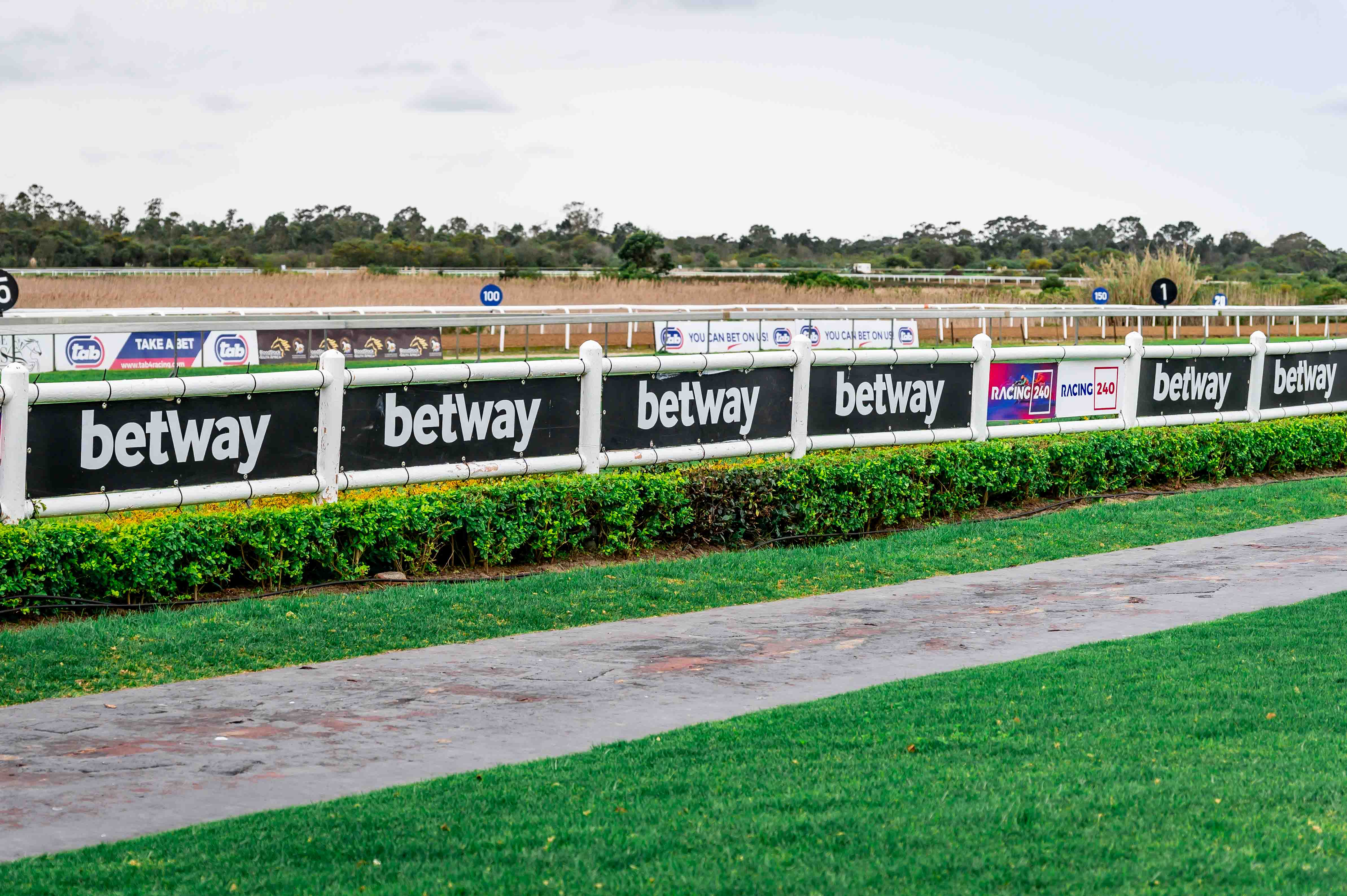 ENCHANTING RACING AT FAIRVIEW
