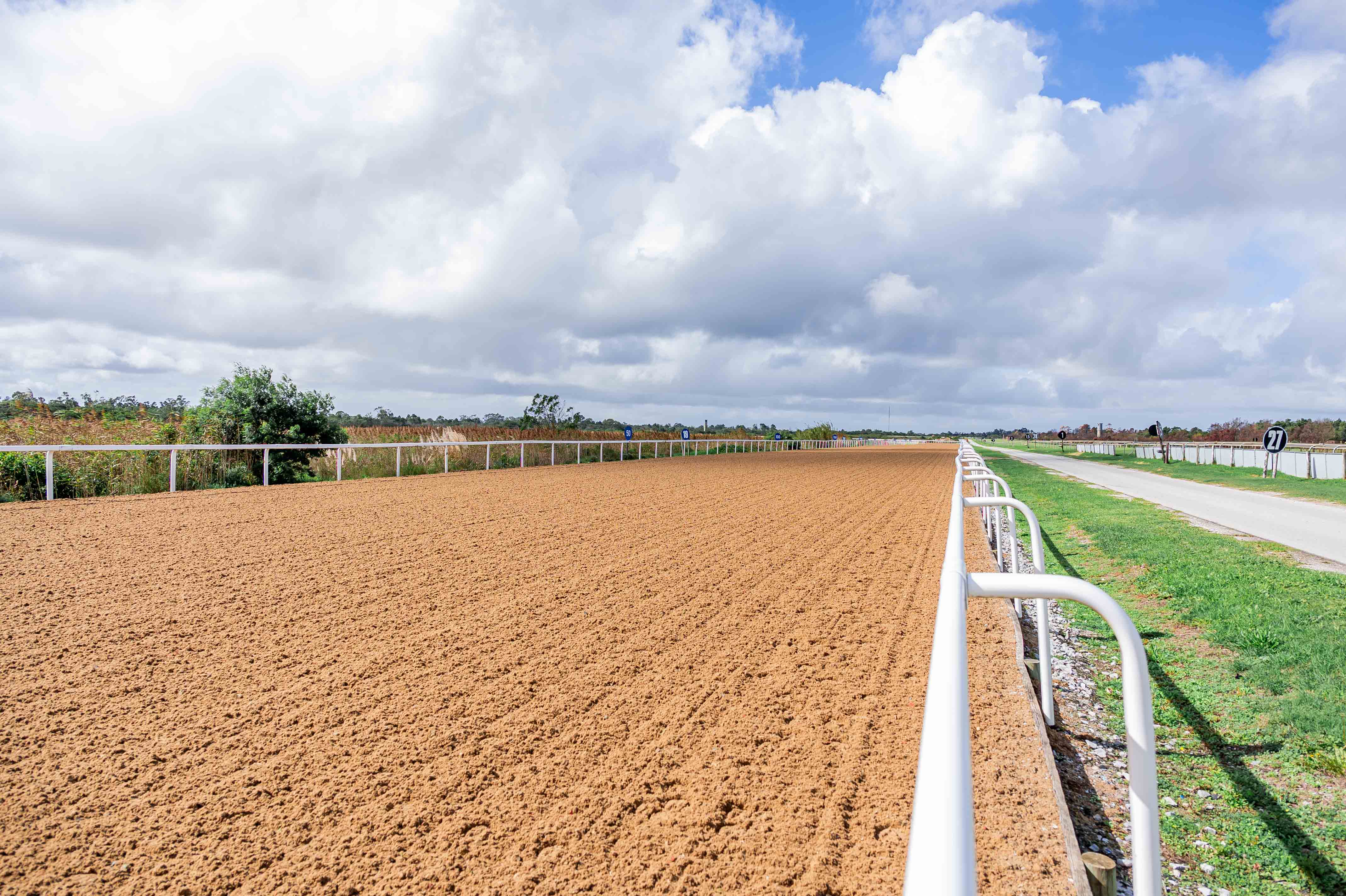 GREEFF WILL BE EAGER