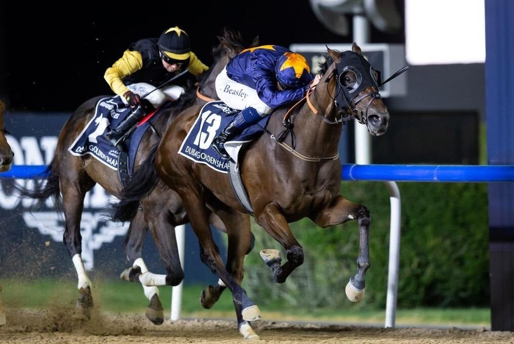 Golden Shaheen champ back at Meydan