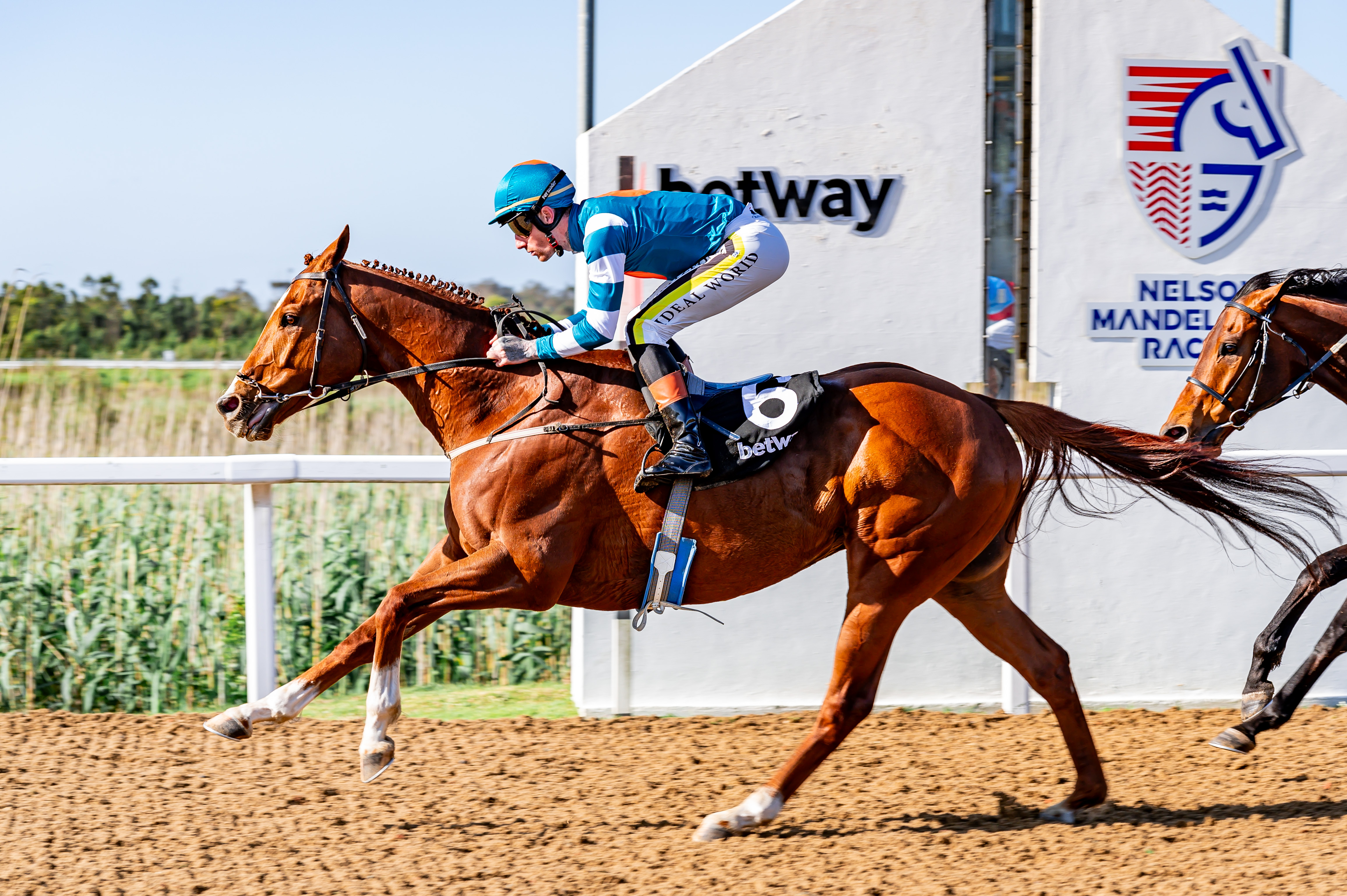 FireAlley seeks second Algoa Cup title