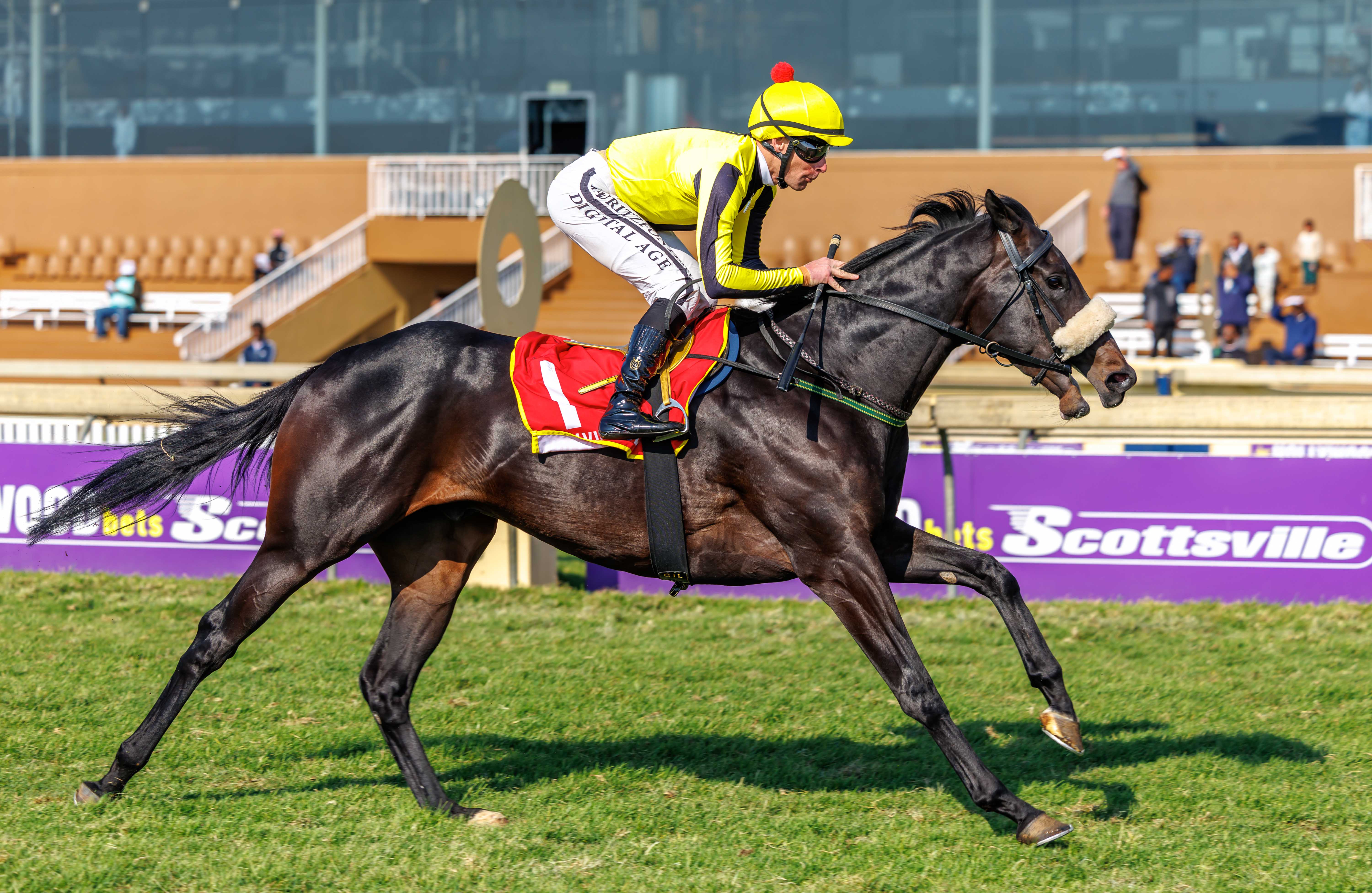 Gallic Victor looks ready to win again