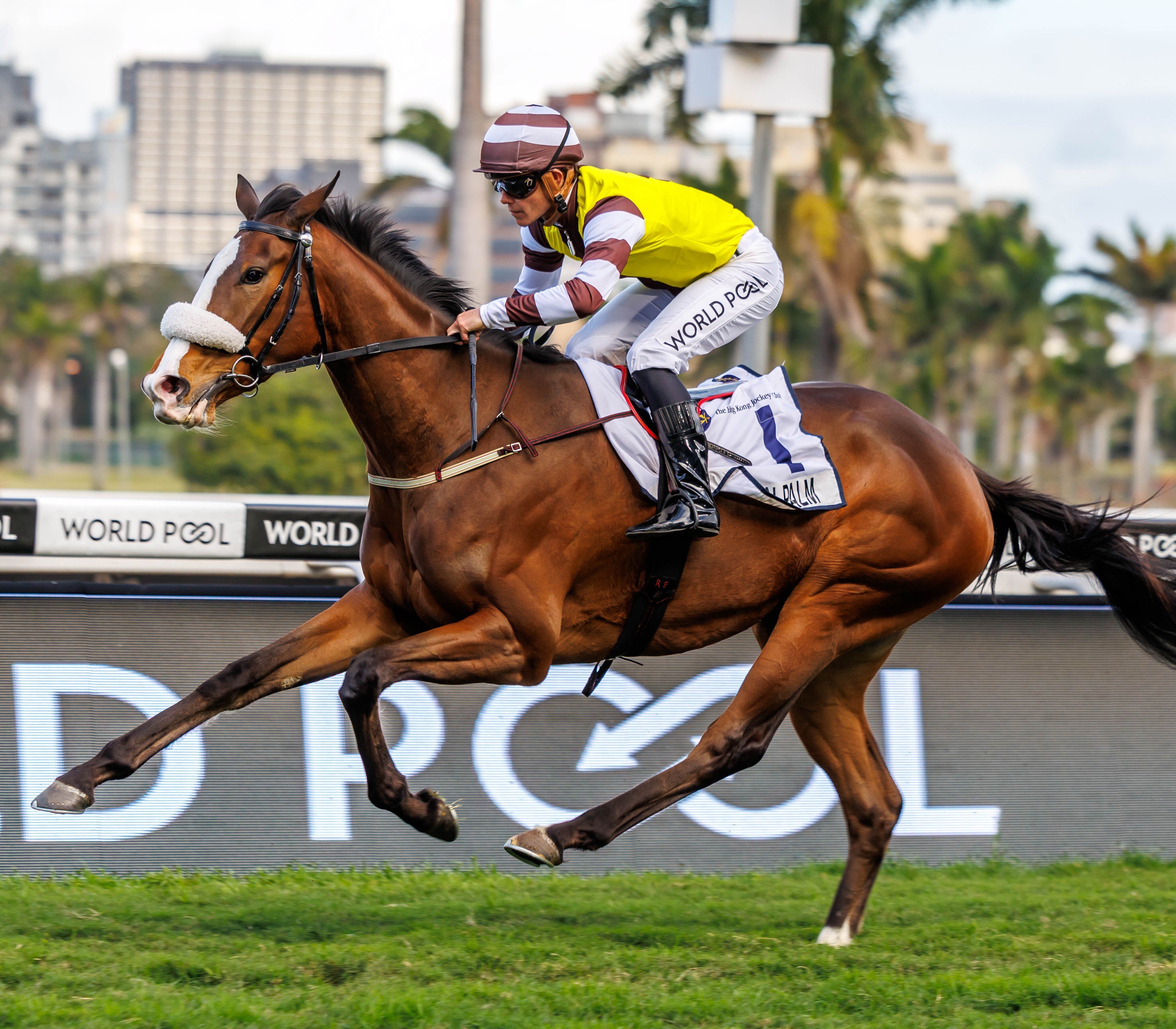 Greeff prepared for another fruitful raid