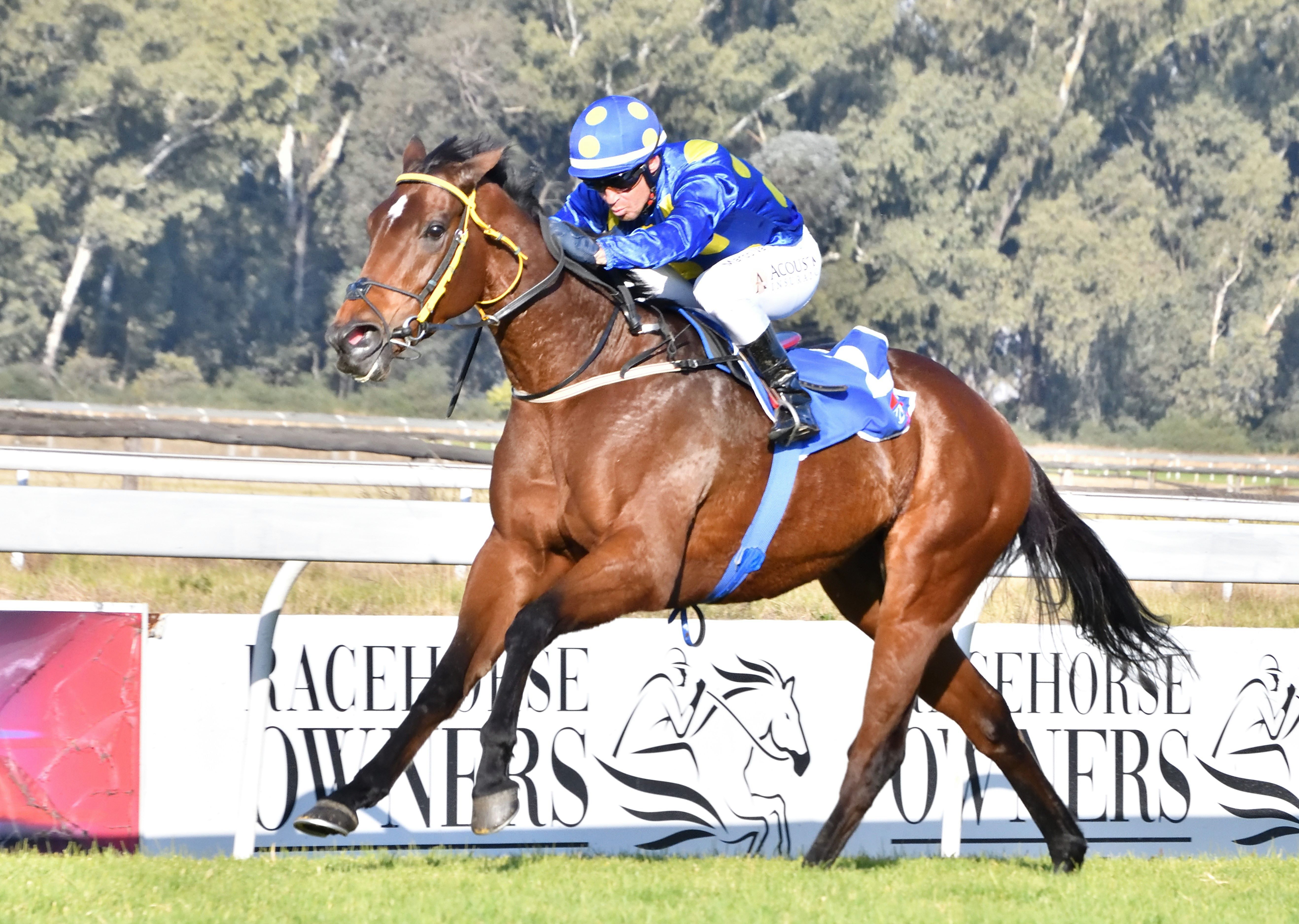 Bettors have a chance to reset