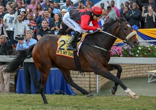 Zaki and Zackey to don the Cap