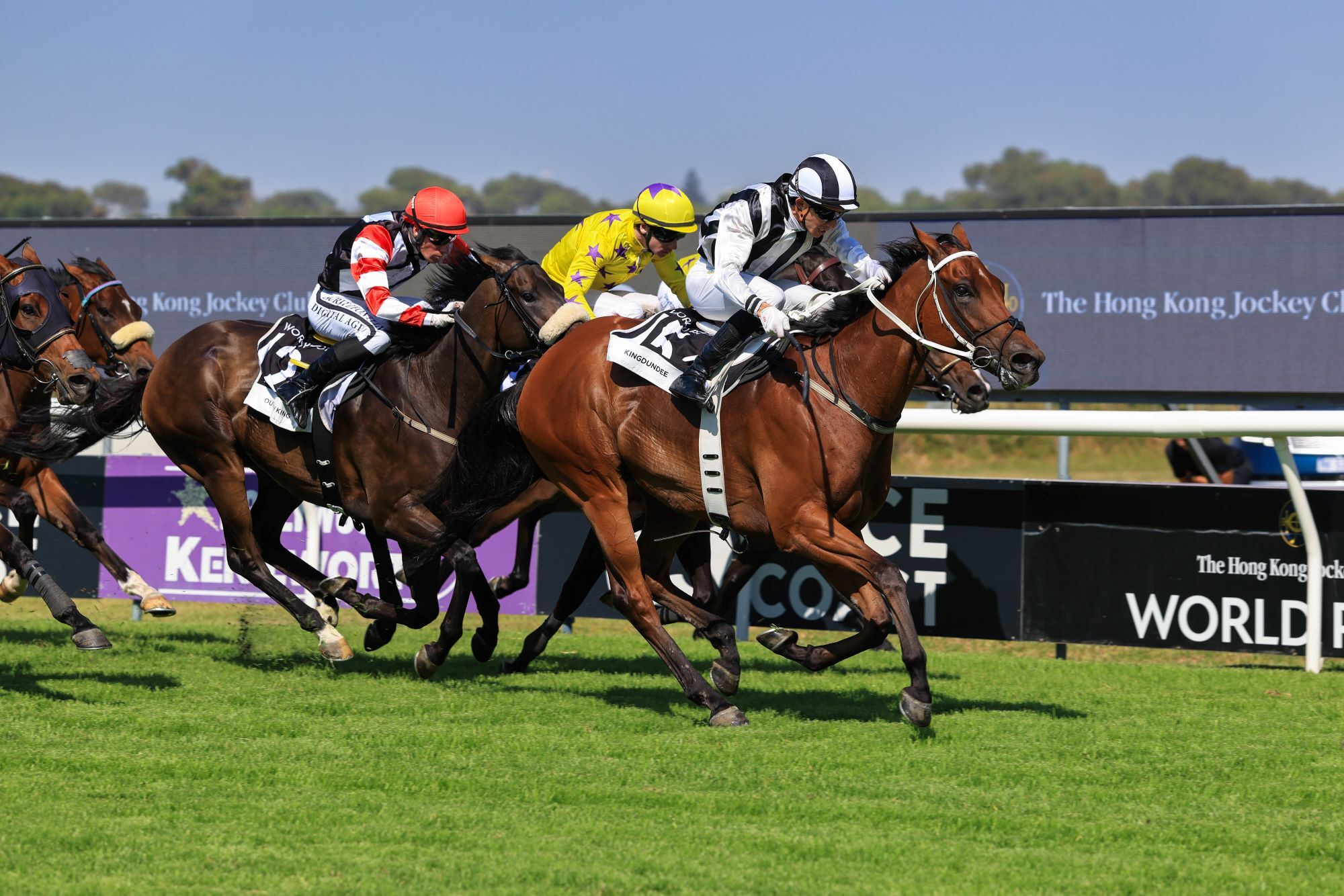 Kingdundee proves Murphy's Law wrong