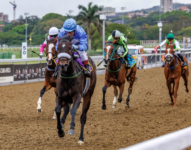Greyville Poly seems the perfect 'place' for punters