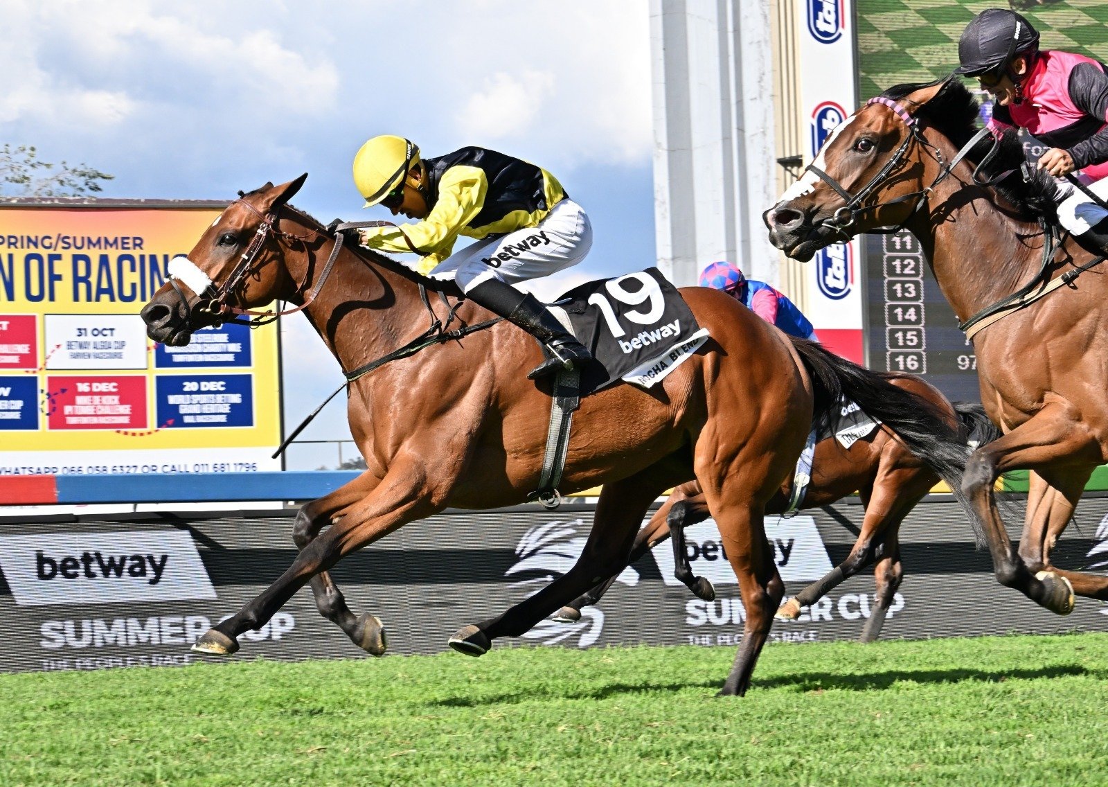 Frank, Tristan find the right blend