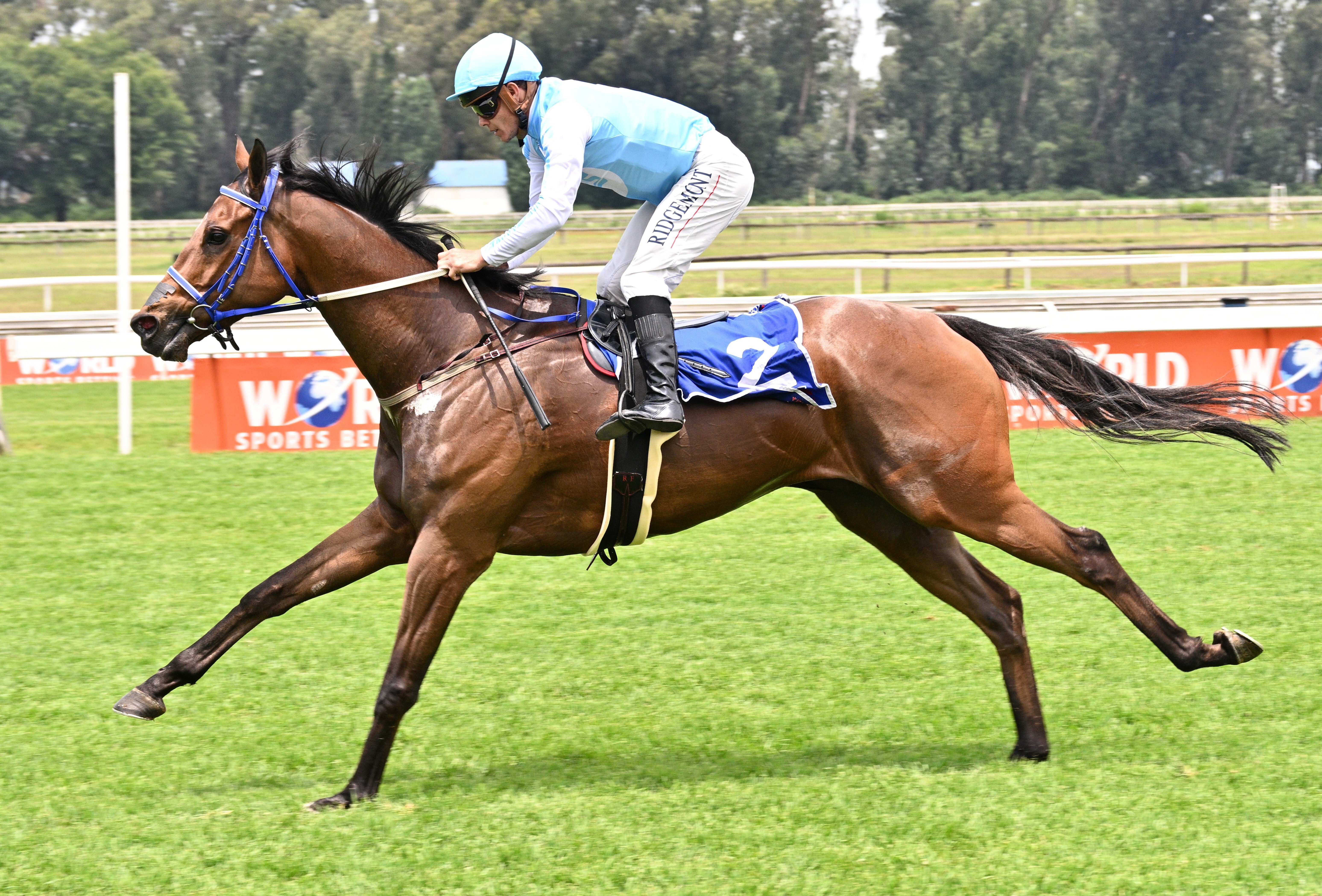 Tarry can keep the family flag flying