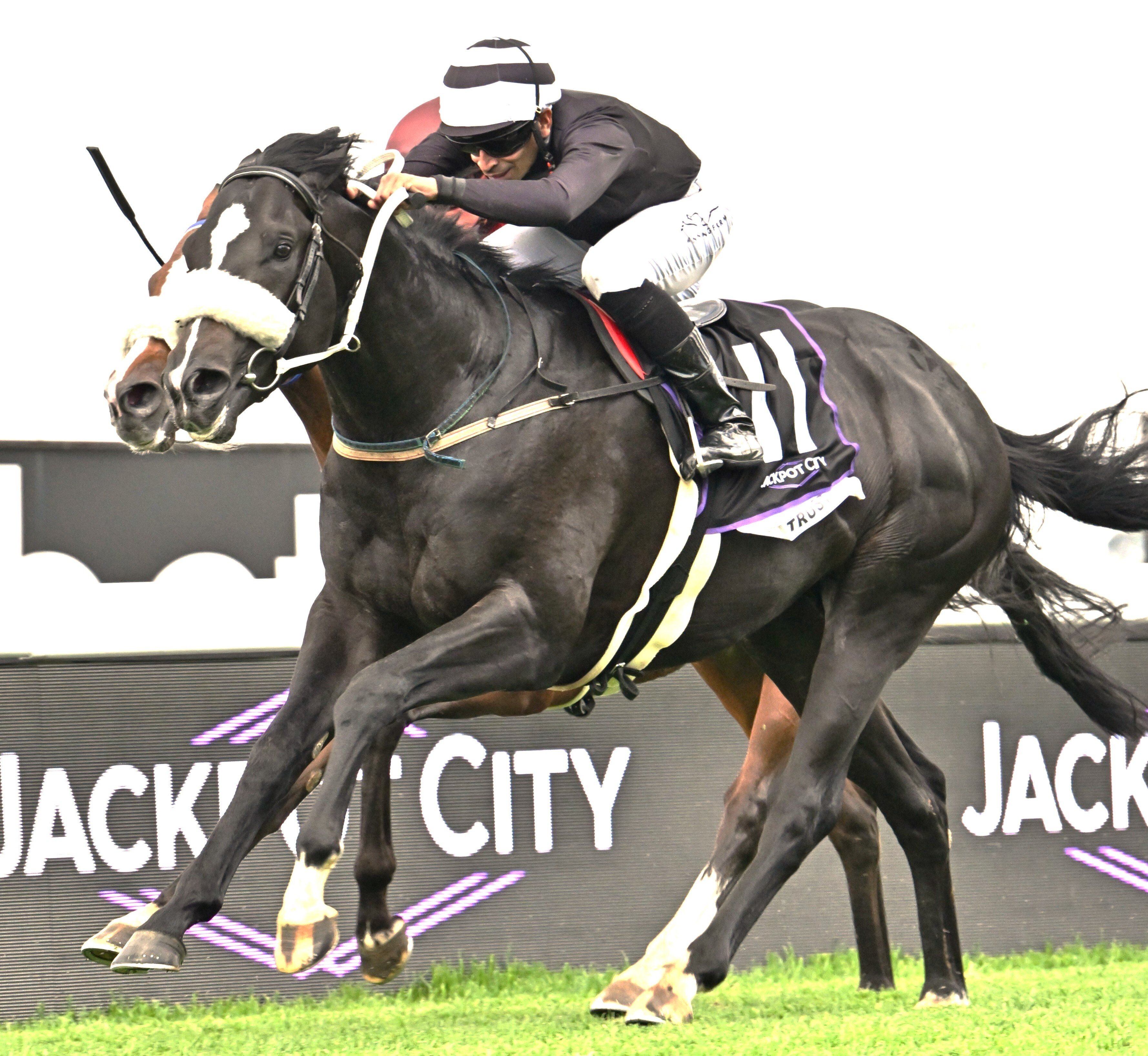 Gauteng Guineas races well supported
