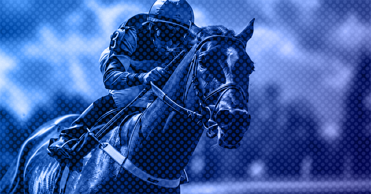 TAB WEEKEND RACING HIGHLIGHTS: 28 - 30 November 2025