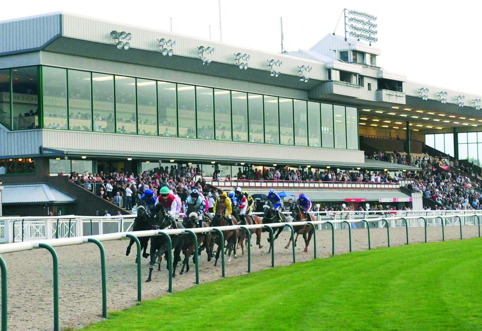 All about Moonshine at Wolverhampton