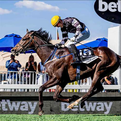 betway-summer-cup-features-1