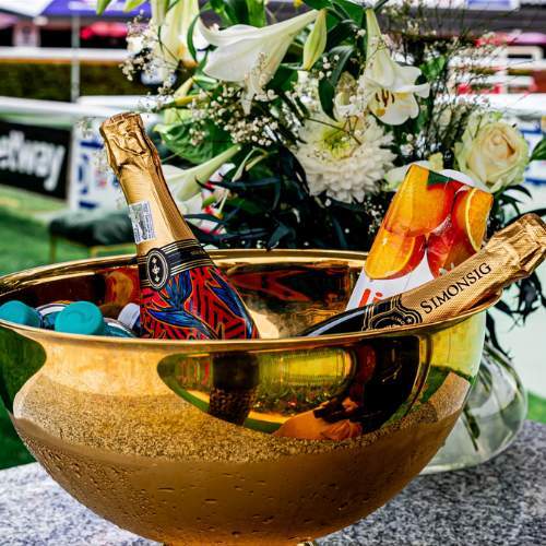 betway-summer-cup-features-4