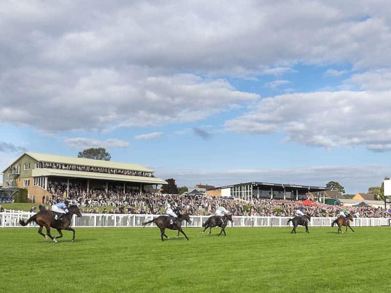 Silver Hill can climb to the top at Hereford