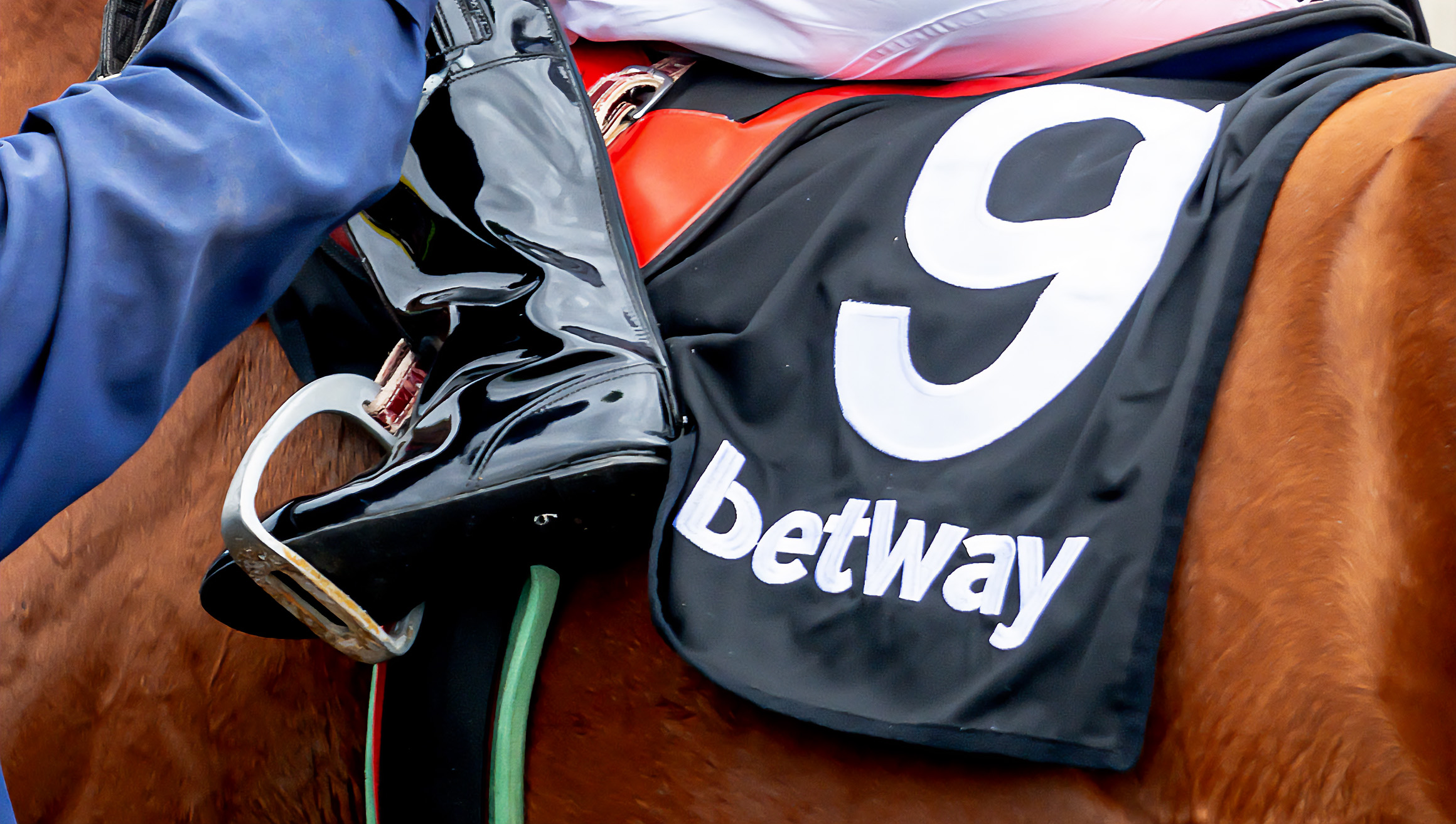 speed 1-9-2023 BETWAY - FAIRVIEW - RACE 1 - E KACNIS - WORK RIDERS - AKHONA - VALYRIAN SWORD  (20) copy